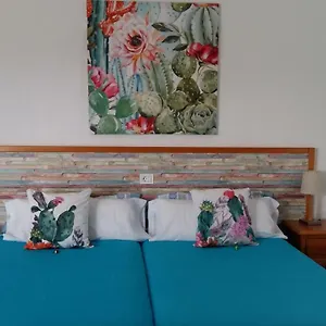 Estudio La Calzada Villaverde (Fuerteventura)